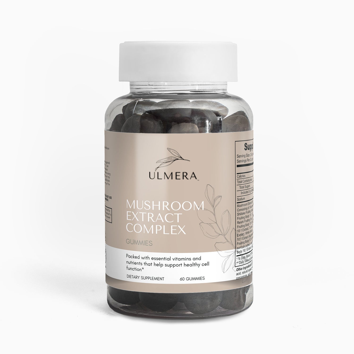 Mushroom Extract Complex - Ulmera