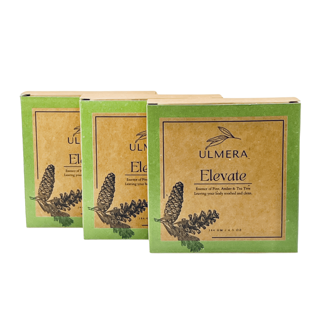 Elevate Soap (Evergreen and Tea Tree) 3 Pack - Ulmera