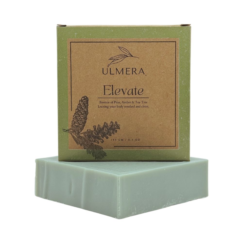 Elevate Soap (Evergreen and Tea Tree) - Ulmera