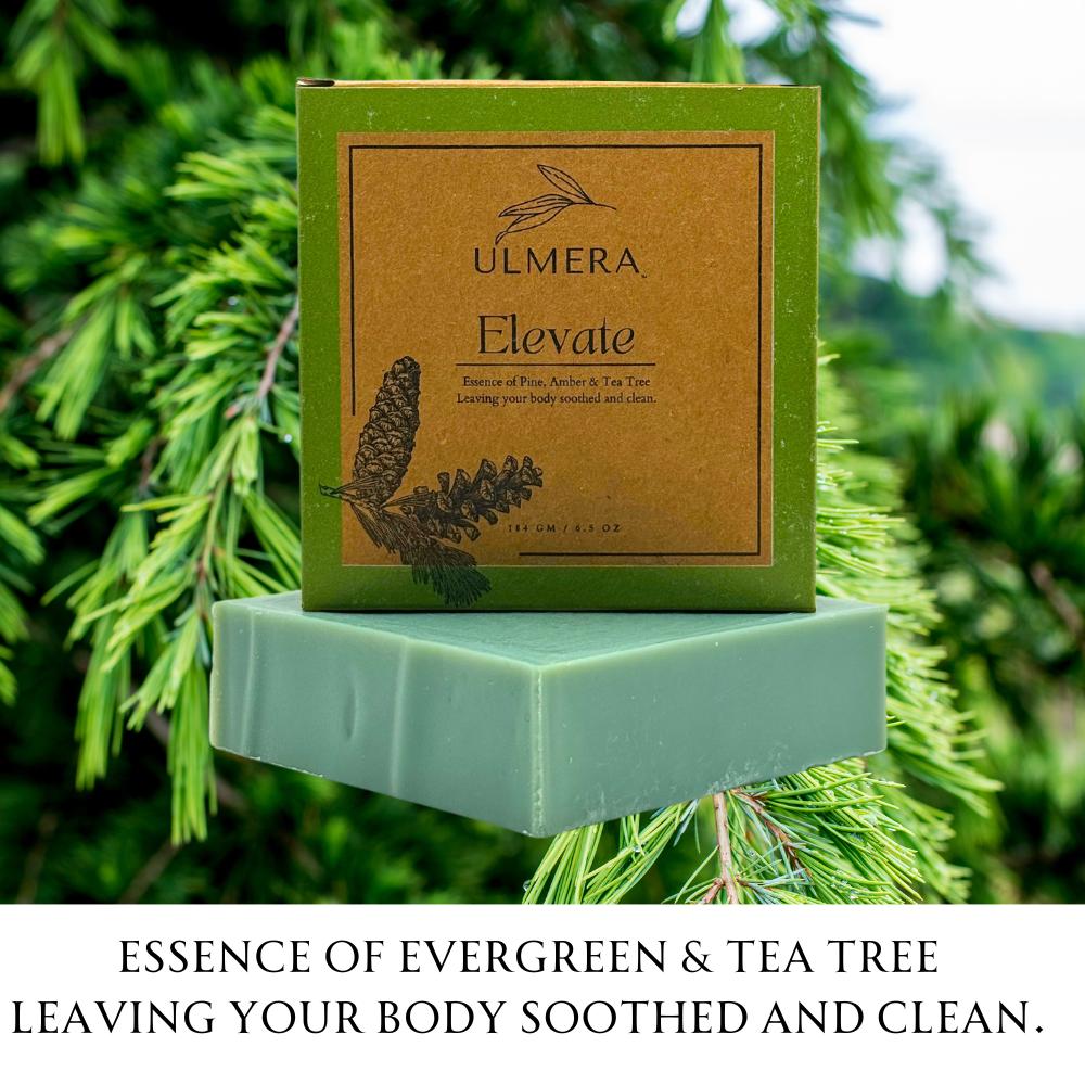 Elevate Soap (Evergreen and Tea Tree) - Ulmera