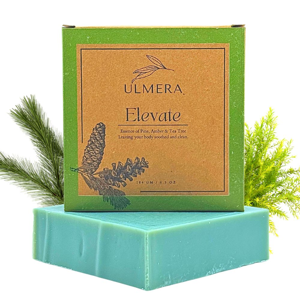 Elevate Soap (Evergreen and Tea Tree)